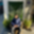 raimon_wahlang